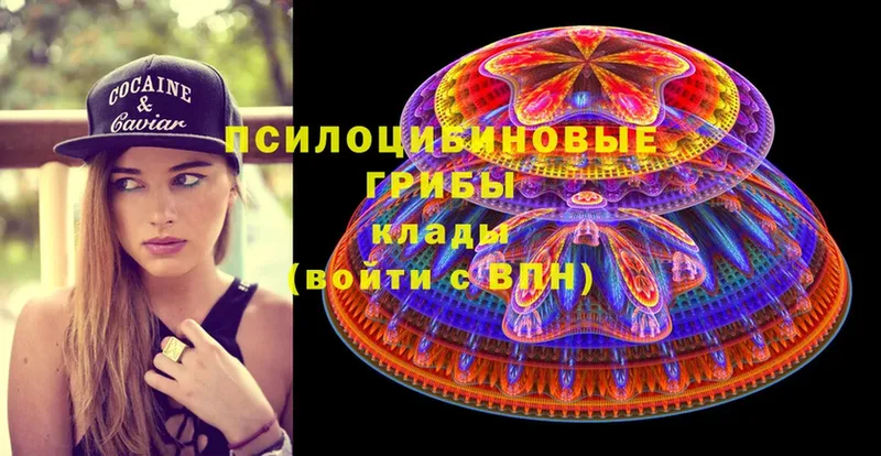 Галлюциногенные грибы Cubensis  omg ссылки  Верхний Тагил 